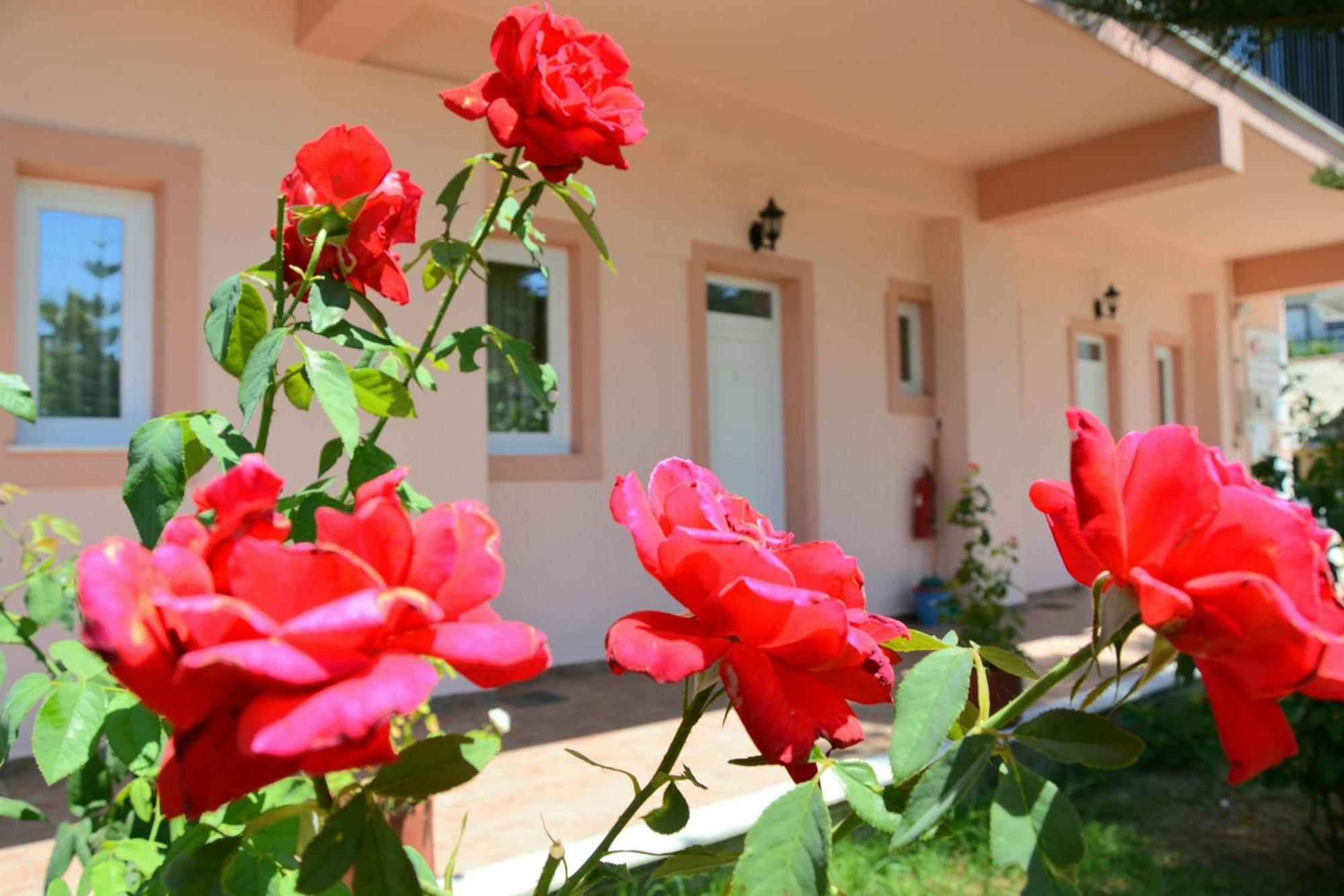 Red Rose Garden Apartment Циливи Екстериор снимка